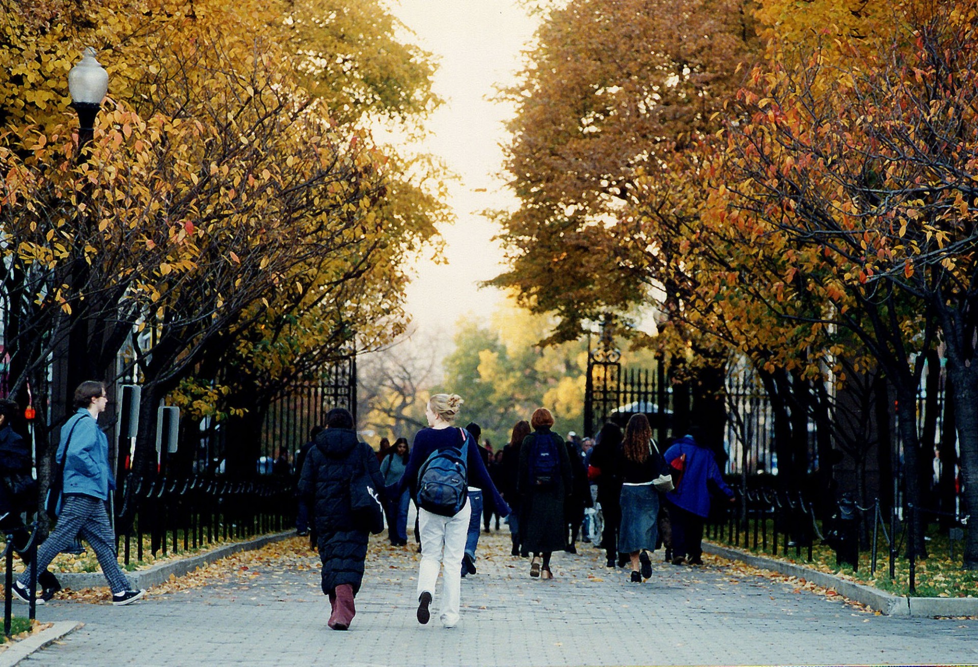 students on College Walk