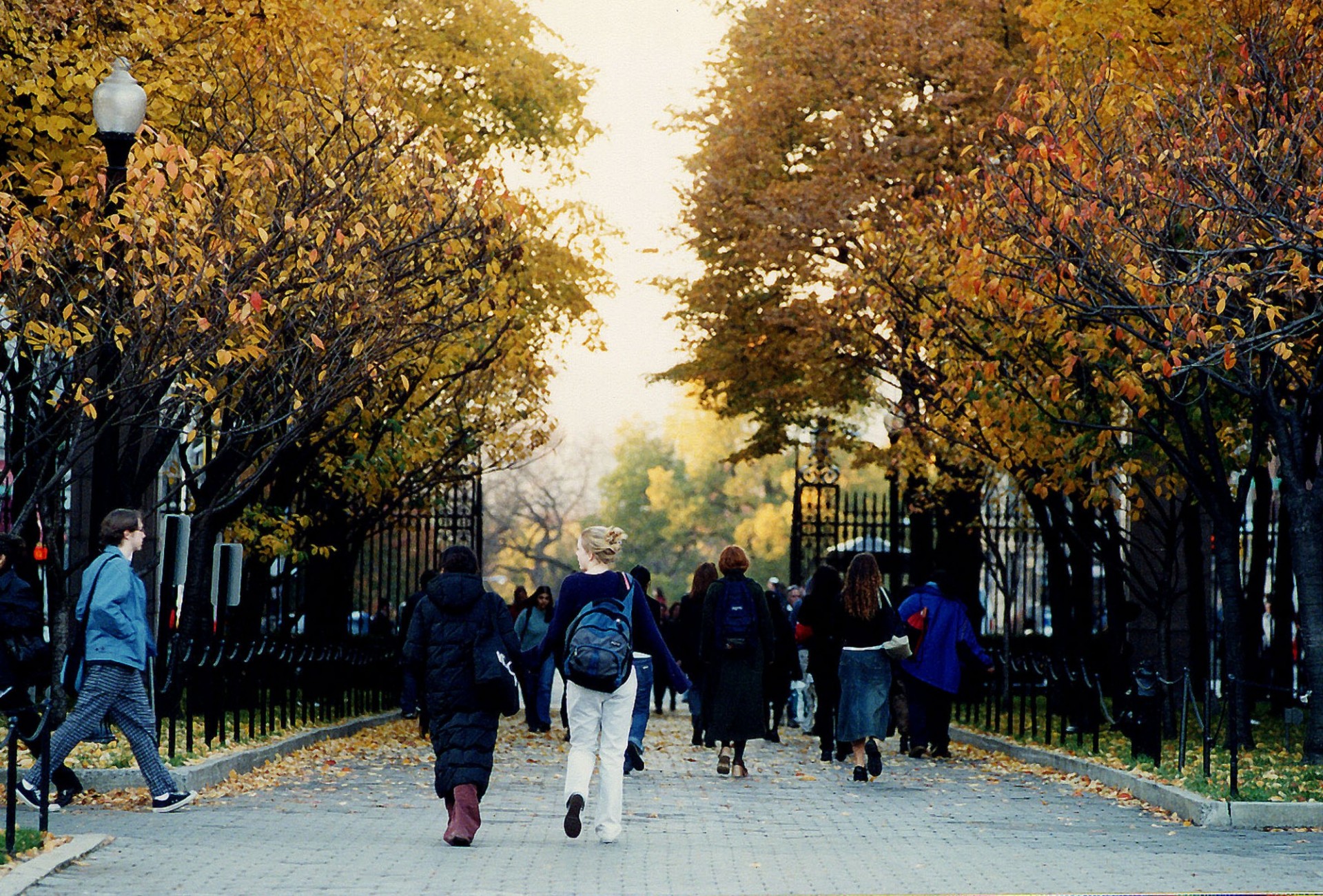 photo of people walking on College Walk during the Fall. Leaves are yellow/orange. 