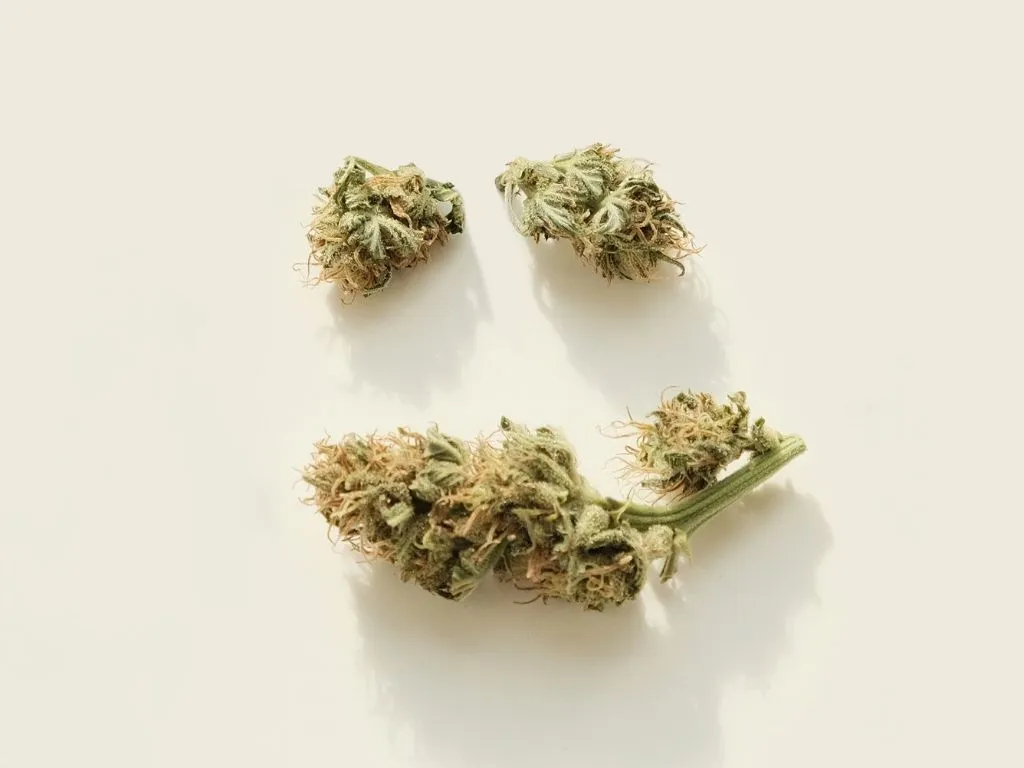 Marijuana in the shape of a smile to resemble emotion